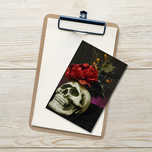 Skull Standard Postcard