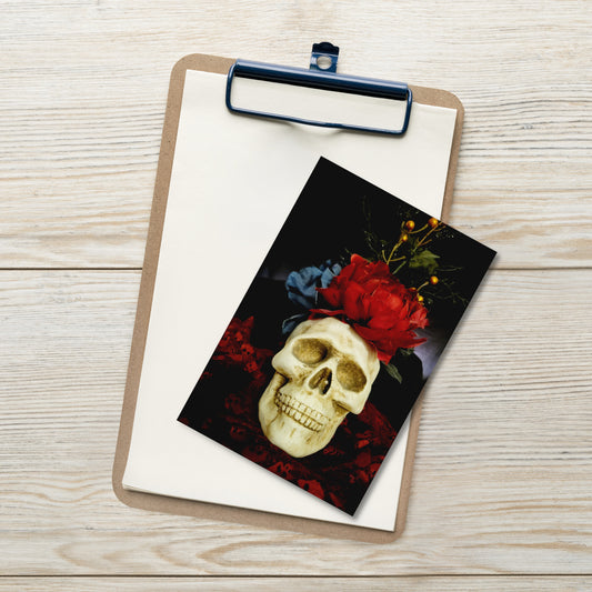 Skull Standard Postcard